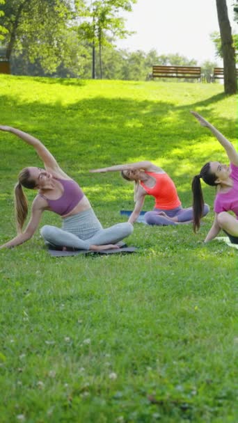 縦スクリーン 緑の草の上のマットに座っている間側面を曲げる若い幸せな女性 ヨガの練習をしている女性グループ 新鮮な空気の中で野外スポーツ活動 健康とウェルネスのコンセプト — ストック動画