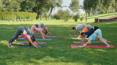 Yoga yapan çeşitli gruplar. Güneşli yaz parkı pozu sahnesi. Sportif gençler, spor egzersizleri. Sağlıklı yaşam tarzı kavramı