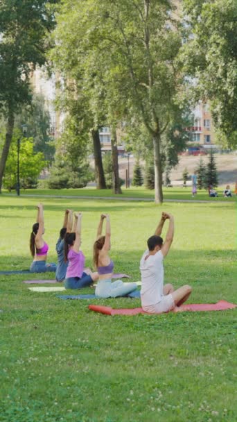 Layar Vertikal Kelompok Diverse Berlatih Yoga Berpose Bersama Taman Musim — Stok Video