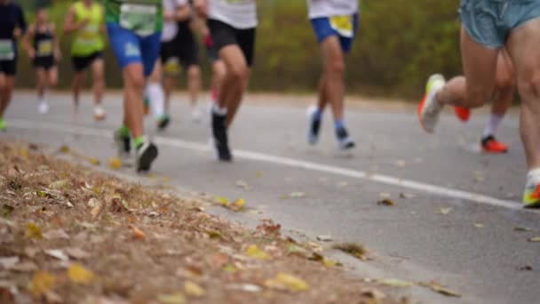 缓慢的运动 难以辨认的运动员在路上跑马拉松 黄叶飘落 成群的人穿着运动服在路上慢跑 健康的生活方式体育的概念 — 图库视频影像