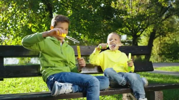 两个快乐的兄弟坐在阳光灿烂的公园的长椅上 一边吹肥皂泡 男孩们玩得很开心粗心大意的童年概念的喜悦 — 图库视频影像