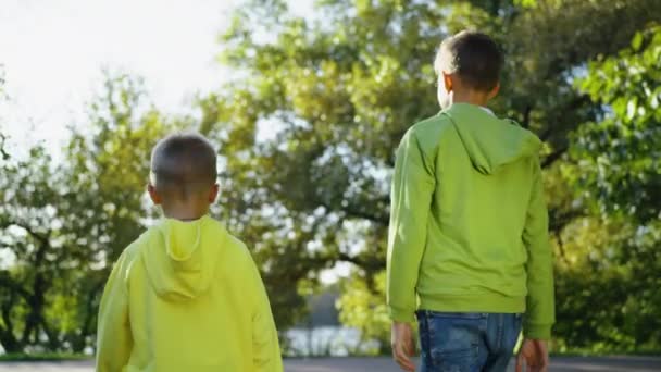Achteraanzicht Twee Jongens Lopen Het Park Jonger Zijn Hand Uitstrekkend — Stockvideo