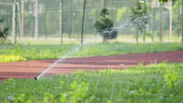 自動回転灌漑スプリンクラー 公共公園の緑の芝生 認識できない女性は 赤いランニングコースでジョギングすることによって健康的なライフスタイルに従事します — ストック動画