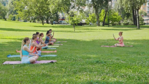 Olika Gruppövningar Yoga Nasal Andning Solbelyst Stadspark Förkroppsligar Samhället Wellness — Stockvideo