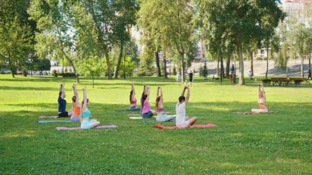 瑜珈爱好者在城市公园的垫子上做着坐姿曲折的表演 将健身与城市绿地混合起来 形成健康的社区生活方式 体育与健康概念 — 图库视频影像