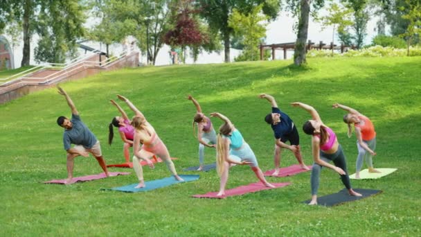 瑜珈练习者在繁茂的城市公园的新鲜环境中 在教练的指导下 一齐表演侧曲 增强了他们的灵活性和优雅 健康和健康概念 — 图库视频影像