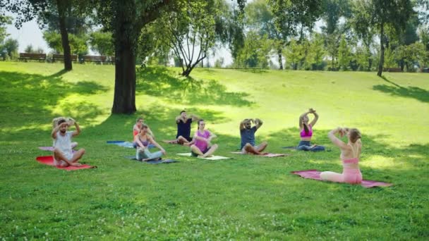그룹은 조용한 공원에서 부드럽게 스트레칭 세션을 이끄는 신선한 공기에서 스포츠 — 비디오