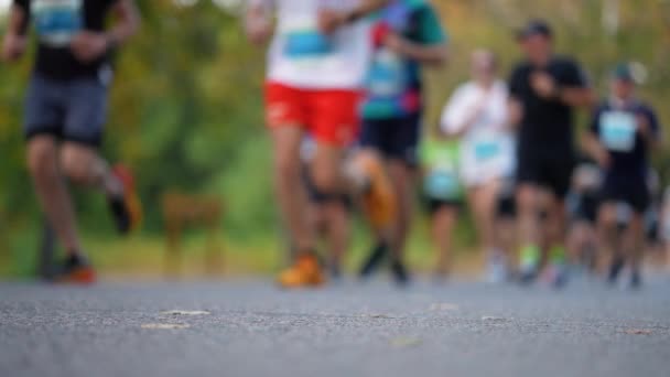 マラソンで競い合うように 焦点を当てていないランナーの足とスニーカーは レースのアクションとエネルギーを示しています 健康的なライフスタイル スポーツコンセプト — ストック動画