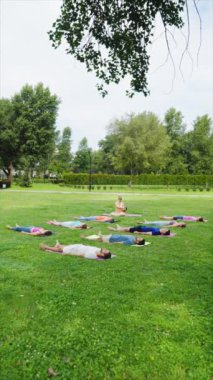 Dikey Ekran: Yoga grubu Savasana 'da dinlenirken, bir kadın müzik kaseleri çalıyor, yeşil şehir parkında huzurlu bir ses manzarası yaratıyor, meditasyon ve ses iyileştirme ile birleştiriyor