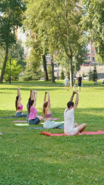 垂直屏风 瑜伽爱好者在城市公园的垫子上表演坐姿扭转 将健身与城市绿地混合起来 以促进健康的社区生活方式 体育与健康概念 — 图库视频影像