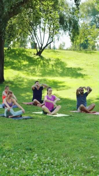 垂直スクリーン グループは穏やかにセレン公園で伸び セッションを率いるインストラクター 新鮮な空気の中で野外スポーツ活動 健康とウェルネスのコンセプト — ストック動画