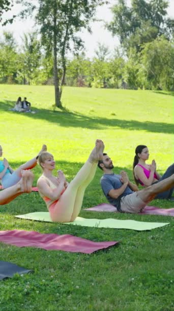 Verticaal Scherm Yoga Groep Houdt Boot Poseren Zonnig Park Het — Stockvideo