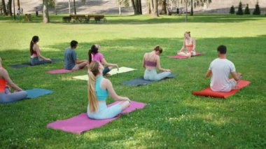 Çeşitli insanlar yeşil parktaki barışçıl yoga seansına katılarak refahı ve toplumu somutlaştırıyorlar. Açık hava spor aktiviteleri