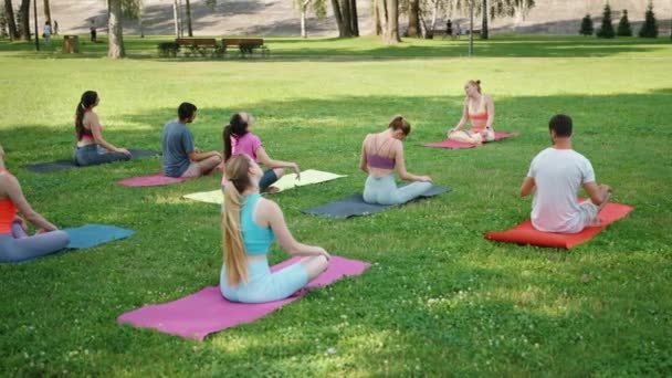 さまざまなグループの人々が緑の公園で平和的なヨガセッションに参加し 健康とコミュニティを体現しています 新鮮な空気の屋外スポーツ活動 — ストック動画