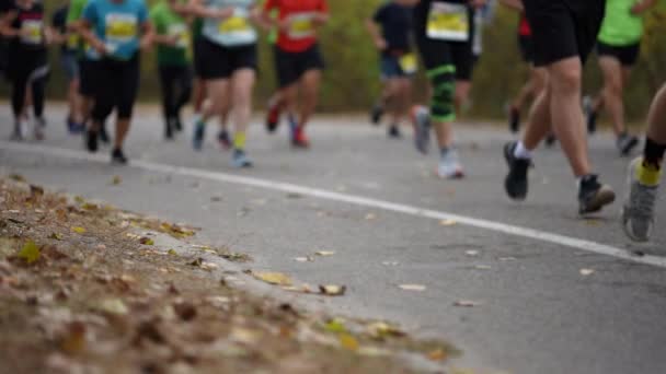 Nohy Maratonských Běžců Podzimním Dni Spadlými Listy Roztroušenými Asfaltu — Stock video