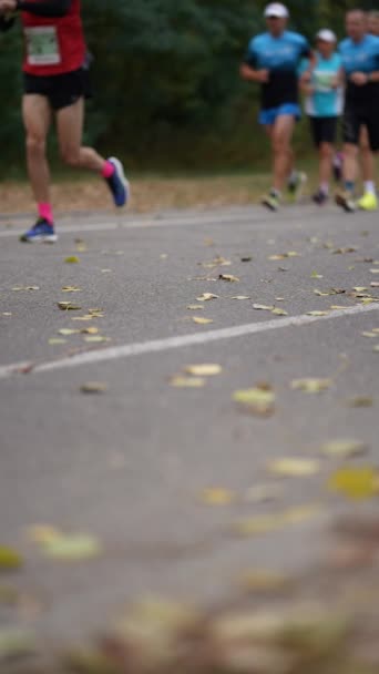 Vertical Screen Beine Von Marathonläufern Herbsttag Herabgefallenes Laub Auf Asphalt — Stockvideo