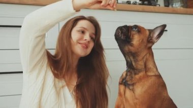 Kahverengi Fransız Bulldog 'u ile oynayan gülümseyen genç kadın sıcak mutfakta köpek maması tutuyor.