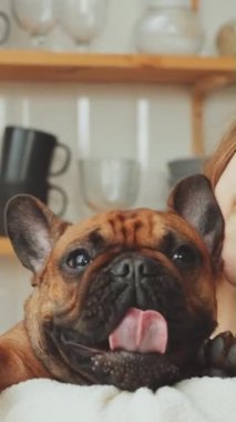 Dilini şakayla uzatan, arka planda mutfak rafları olan kahverengi Fransız Bulldog 'u kucaklayan mutlu genç kadın.