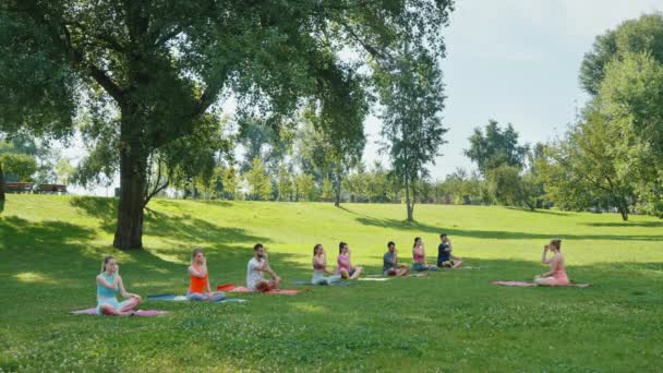 Las Personas Dedican Respirar Durante Una Sesión Yoga Aire Libre — Vídeos de Stock