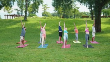 Yoga yapan bir grup insan canlı, güneşli bir günde ağaçlar ve yeşil çimlerle çevrili yeşil bir parktaki minderlerde poz veriyor. Sağlık ve Sıhhat kavramı