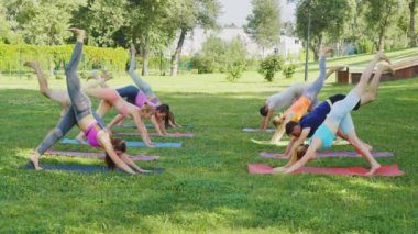 Parktaki açık hava yoga sınıfına katılan bir grup insan. Çeşitli yoga pozları veren katılımcılarla birlikte eğitmen. Arka plandaki yeşil çimenler ve ağaçlar sakin bir atmosfer yaratıyor