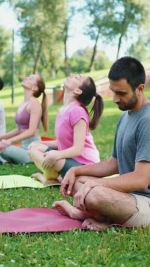 Dikey Ekran: Grup meditasyon ve nefes egzersizleriyle parkta açık havada yoga dersi. Rahatlama ve farkındalık kavramı