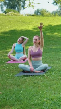Dikey Ekran: Parktaki bir açık hava seansı sırasında yoga boyunlarını esnetme egzersizi yapan iki kadın. Rahatlama ve esnekliğe odaklan. Stres atma ve farkındalık kavramı