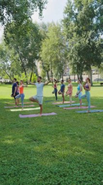 Dikey Ekran: Bir grup insan parkta ağaç pozu veriyor. Katılımcılar tek ayak üzerinde durarak denge ve istikrara odaklanıyorlar. Açık hava yoga pratiği kavramı