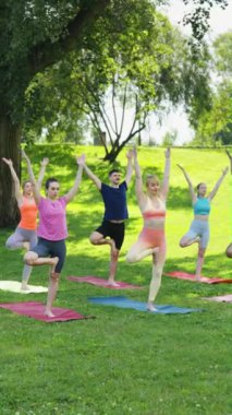 Dikey Ekran: Yoga eğitmeni ve katılımcılar parkta paspaslar üzerinde ağaç duruşu yapıyorlar. Açık hava dengesi, farkındalık ve beden gücü kavramı.