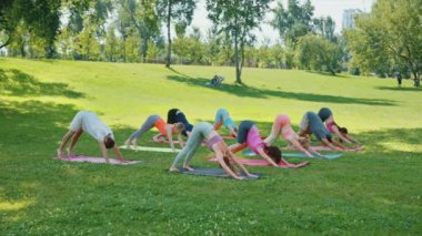 Park 'taki açık hava yoga seansı sırasında köpek pozisyonundan köpek pozisyonuna geçiş pratiği yapan katılımcılara sahip bir eğitmen. Akış kavramı, esneklik ve güç.