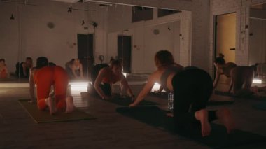 Yavru köpek gibi poz veren bir grup kadın loş ışıklı stüdyoda yoga minderleri üzerinde. Renkli spor sutyenler ve taytlar. Sıcak ortam ışıkları ve aynalar huzurlu atmosferi geliştirir. Rahatlama ve esneklik kavramı