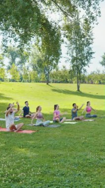 Sunny Park 'taki yoga dersine katılan bir grup insan. Açık hava fitness ve refah kavramı.