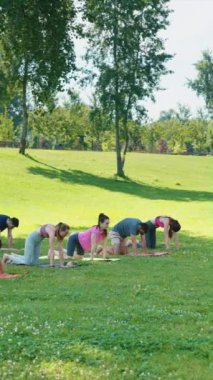 Dikey Ekran: Bir grup birey parkta yoga minderleri üzerinde kedi esneme pozu veriyor, arka planda ağaçlar var, dışarıda birlikte spor yapıyor ve sıhhati uyguluyorlar.