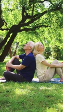 Yaşlı çift yemyeşil bir parkta yoga minderinde sırt sırta oturup doğanın huzurunun tadını çıkarıyorlar. Güneş ışığı ağaçların arasından süzülüp barışçıl bir atmosfer yaratır. Açık hava rahatlama ve bağlantı kavramı