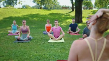 Yoga yapan bir grup insan parkta paspasların üzerinde geriliyor. Katılımcılar ellerini başlarının üstüne koyup boyunlarını uzattılar. Açık hava yoga ve rahatlama egzersizi kavramı