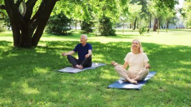 Huzurlu bir park ortamında meditasyon yapan yaşlı bir çift. Yoga minderlerinin üzerine oturmuş, yemyeşil çiçeklerle çevrili. Huzur ve farkındalık. Rahatlama, meditasyon ve zihinsel sağlık kavramı