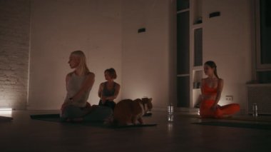 Loş bir stüdyoda yoga yapan bir grup kadın ve yanında da kedi. Ilık aydınlatma huzurlu atmosferi arttırır. Sükunet ve arkadaşlık kavramı