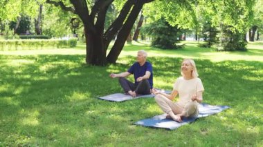 Yaşlı bir adam ve kadın, büyük bir ağacın altında yoga minderleri üzerinde bağdaş kurmuş, yemyeşil bir parkta huzurlu bir ifadeyle meditasyon yapıyorlar. Güneş ışığı yaprakların arasından süzülür. Refahı ve farkındalığı algıla.