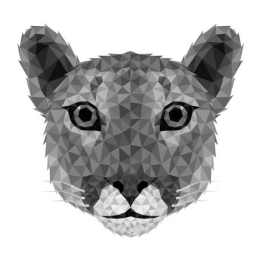 Puma cougar Low poly. Low poly triangular Puma face
