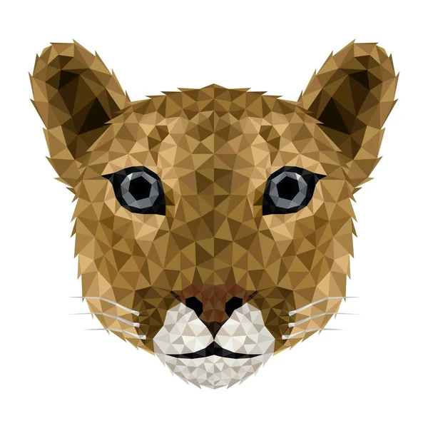 Puma Cougar Low Poly Low Poly Triangular Puma Face — Archivo Imágenes Vectoriales