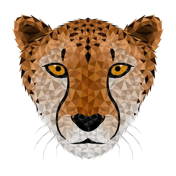 Cheetah Low Poly Lage Poly Driehoekige Cheetah Gezicht — Stockvector