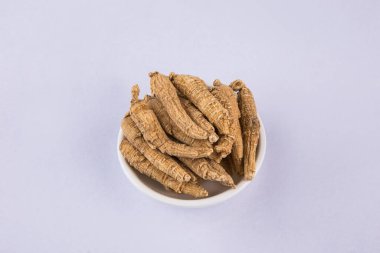 Çin şifalı bitkisi, Panax quinquefolium, American ginseng, ve American ginseng