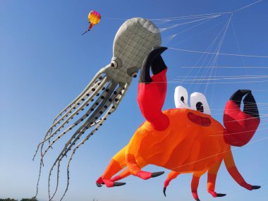 Büyük kare uçurtma, büyük yengeç, büyük ahtapot