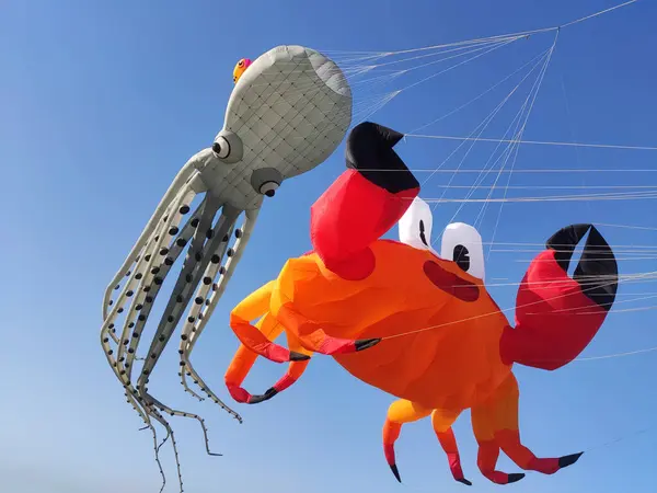 stock image Square large kite flying, big crab, big octopus