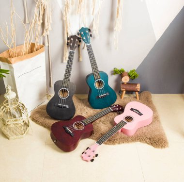 Sevimli ve kompakt enstrüman Yukrili