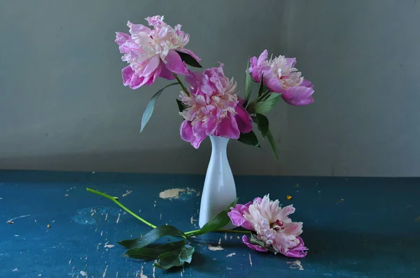 Schöne Rosa Pfingstrosenblüten Auf Dunklem Hintergrund — Stockfoto