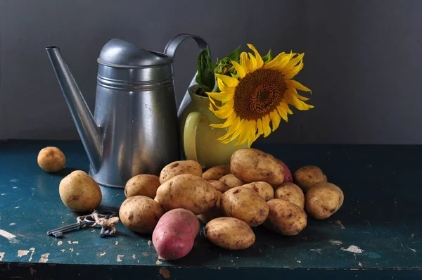 Tahta arka planda patates ve sebzelerle dolu bir hayat