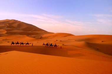 Sahara çölünde gün batımında develer ve kum tepeleri, namibya