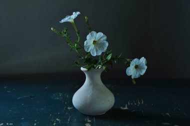 Güzel botanik fotoğrafı, doğal duvar kağıdı.