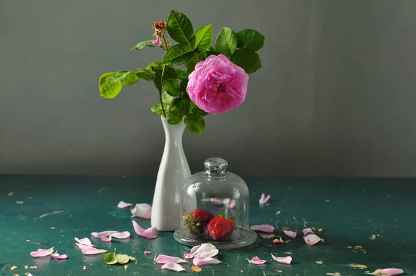 Schöne Blumen Einer Vase Auf Dunklem Hintergrund — Stockfoto